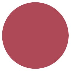 Burt's Bees® Tinted Lip Balm