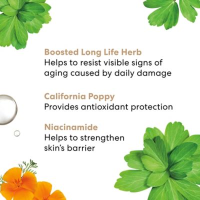 bareMinerals Skinlongevity™ Long Life Herb Serum 50ml