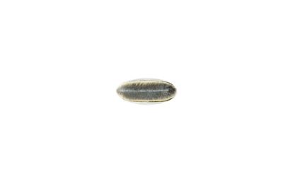 MAC 190 Foundation Brush