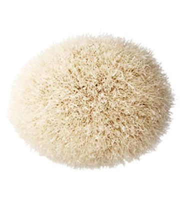 MAC 168S Large Angled Contour Brush