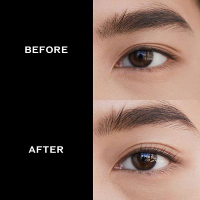 Shiseido Eyelash Curler