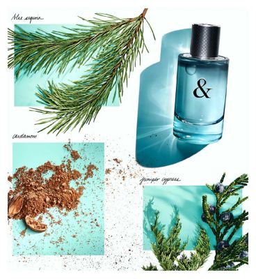Tiffany & Love for Him 50ml Eau de Toilette