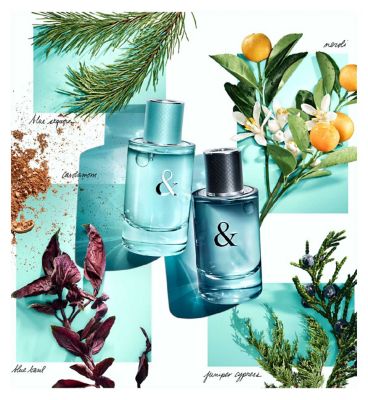 Tiffany & Love for Him 50ml Eau de Toilette