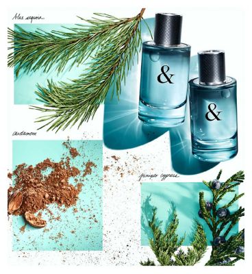 Tiffany & Love for Him 50ml Eau de Toilette