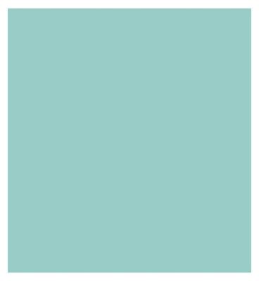 Sally Hansen Insta Dri Nail Polish - Gain Mo-Mint-Um