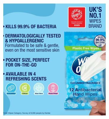 Wet Ones Be Fresh Biodegradable Antibacterial Hand Wipes, 12 Pack
