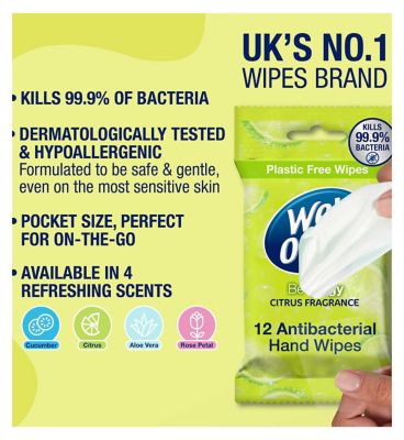 Wet Ones Be Zingy Biodegradable Antibacterial Hand Wipes, 12 Pack
