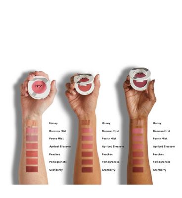 No7 Matte Powder Blusher