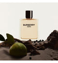 Burberry Hero Eau de Toilette for Men 100ml