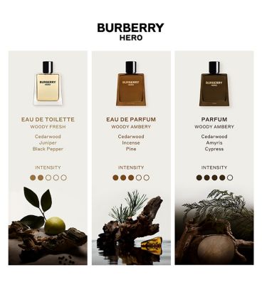 Burberry Hero Eau de Toilette for Men 100ml
