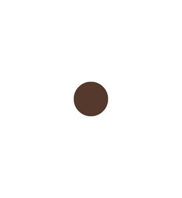 Max Factor Browfinity Longwear Brow Tint