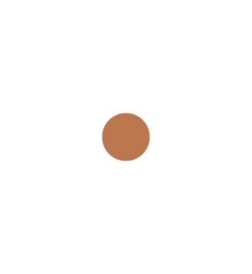 Revolution Splendor Matte Bronzer