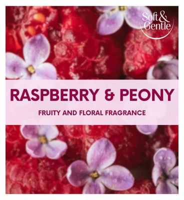 Soft & Gentle Berry Bliss Anti-Perspirant Spray 250ml