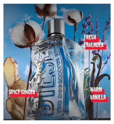 D by Diesel Eau de Toilette 100ml
