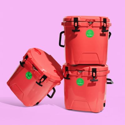 Drunk Elephant trunk 6.0