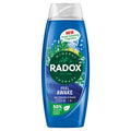 Radox Shower Gel Feel Awake 450ml