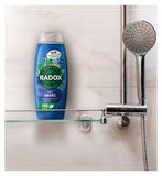 Radox Shower Gel Feel Awake 450ml
