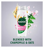 Radox Shower Gel Moisturise 450ml
