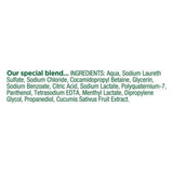 Simple Kind to Skin Refreshing Shower Gel 450ml