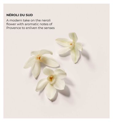 Laura Mercier The Daydreamer's Indulgence - Neroli du Sud