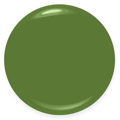 Rimmel 60 Seconds Super Shine Nail Polish 880 Grassy Fields