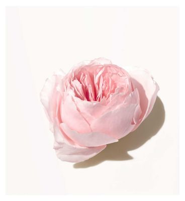Origins Light Rose Moisturising Hand Cream 75ml
