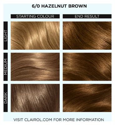 Clairol Colour Studio Step 2 Permanent Colour Cream 6/0 Hazelnut Brown 50ml