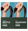 Herbal Essences Argan Oil Repair Conditioner 250ml to Nourish Damaged Hair. Sulfate Free