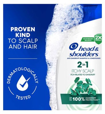 Head & Shoulders Itchy Scalp 2in1 Anti Dandruff Shampoo 330ml