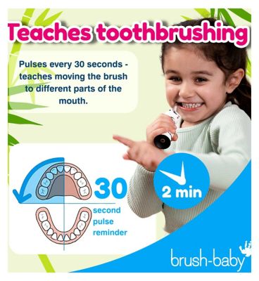 brush-baby WildOnes Panda Rechargeable Toothbrush & WildOnes Applemint Toothpaste