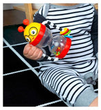 Baby Einstein Cal’s Sensory Shake-up Activity Rattle