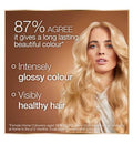 Garnier Good Hair Colour 5.32 Burnished Sunset 217g