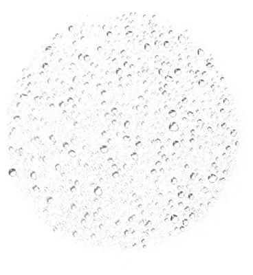 e.l.f. Power Grip Dewy Setting Spray