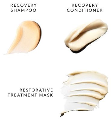Virtue Recovery Discovery Kit