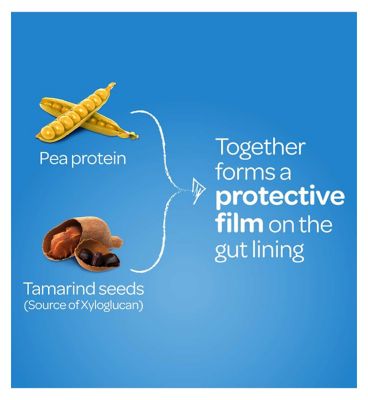 FyboCalm Wind & Bloating Relief 60 Capsule Bundle