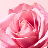 NUXE Very Rose Hand and Nail Cream 50ml
