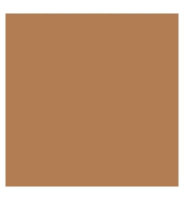 Kylie Cosmetics Skin Tint Blurring Elixir Foundation 30ml