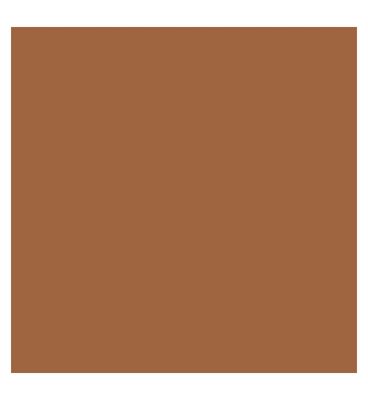 Kylie Cosmetics Skin Tint Blurring Elixir Foundation 30ml