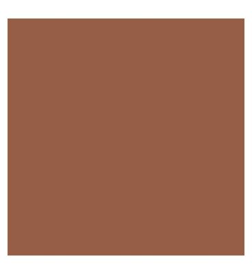 Kylie Cosmetics Skin Tint Blurring Elixir Foundation 30ml