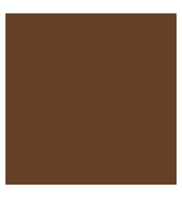 Kylie Cosmetics Skin Tint Blurring Elixir Foundation 30ml