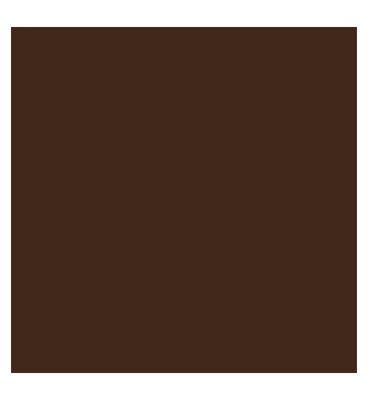 Kylie Cosmetics Skin Tint Blurring Elixir Foundation 30ml