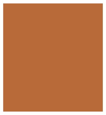 Collection Lasting Perfection Matte Foundation