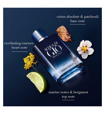 Giorgio Armani Acqua Di Giò Homme Profondo Parfum 100ml
