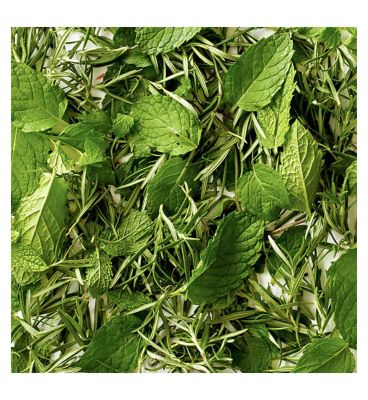 AVEDA Rosemary Mint Weightless Conditioner 250ml