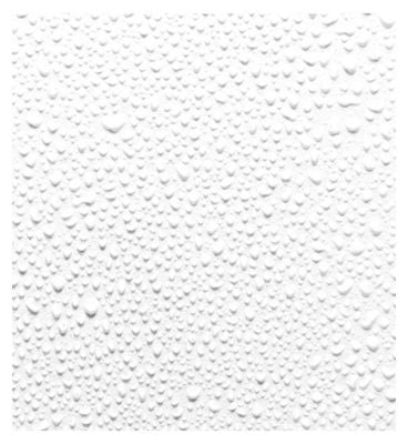 Fresh Rose Instant Hydration Mist 100ml