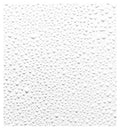 Fresh Rose Instant Hydration Mist 100ml