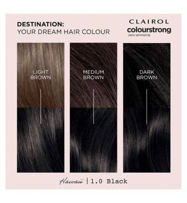 Clairol Colour Strong Permanent Hair Dye 1.0 black 199ml