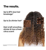L'Oréal Professionnel Metal Detox Shampoo & Mask Discovery Kit Anti breakage & Colour Fade Protection