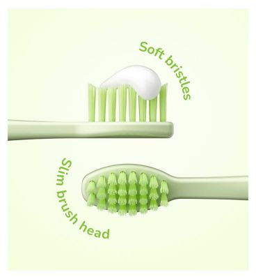 Ordo Sonic kids Battery Toothbrush Squishmallows Rutabaga