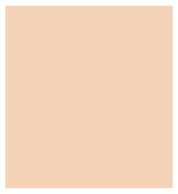 GUERLAIN Terracotta Le Teint Perfecting Foundation Luminous Matte Finish